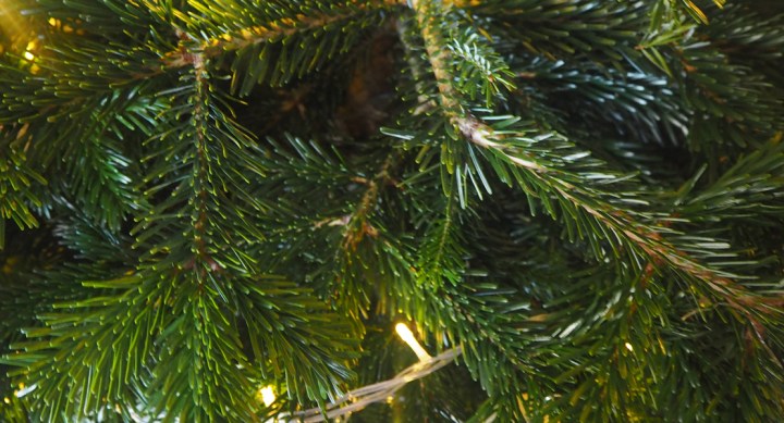 #BRUMBLOGMAS Day 14:&nbsp;Trees