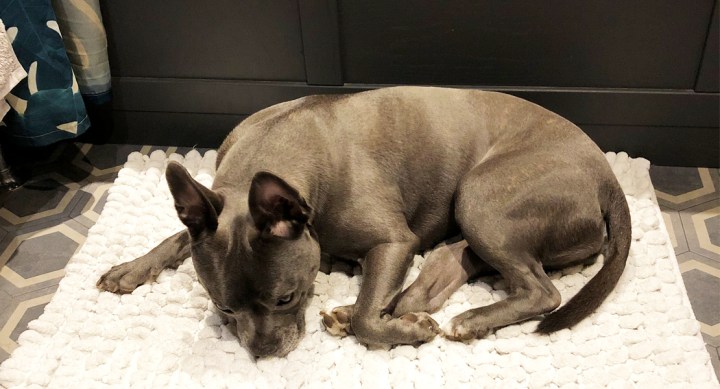 A pregnant type 1 diabetic’s sickness survival kit (aaaand&nbsp;breathe)…