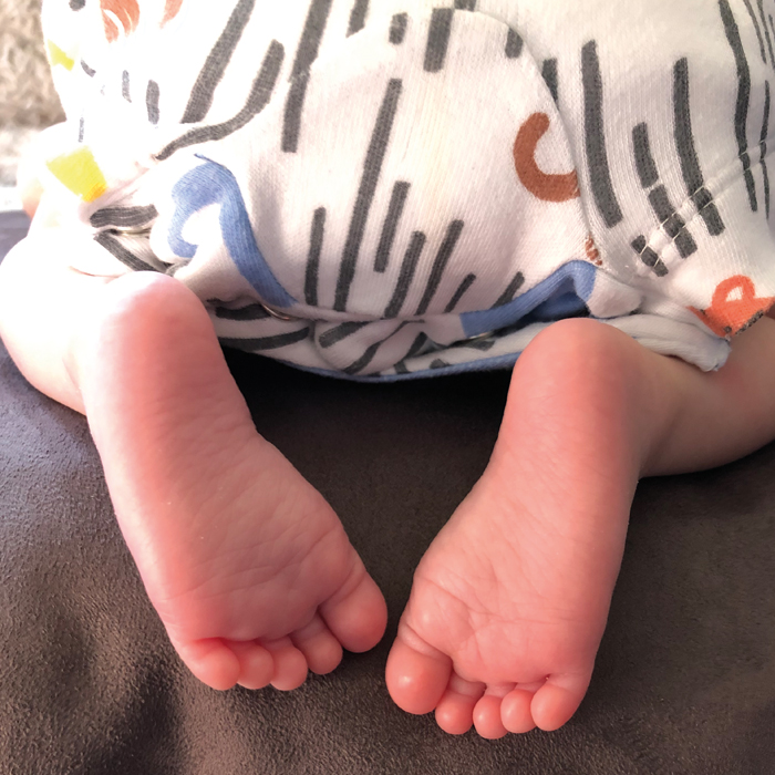 _wordpressimagesnest03