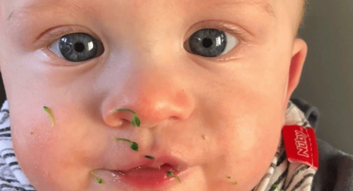 Weaning a preemie no.01: when, why, and recipe&nbsp;inspo…